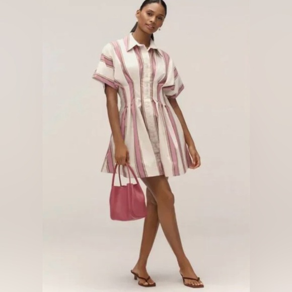 Anthropologie NWT Tobie Mini Shirt Dress in Pink Stripe Exquise - Size XS - Picture 2 of 6
